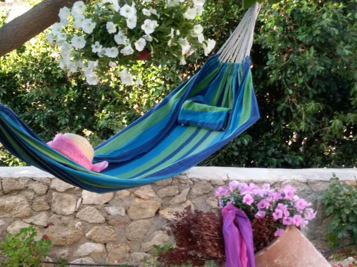 New Country House Salvia Sitía Extérieur photo